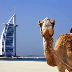 3 months visit visa dubai